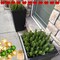 Christmas Greenery Green Plants Pine Picks and Stems (Green) 10"D x 0.1"W x 3"H